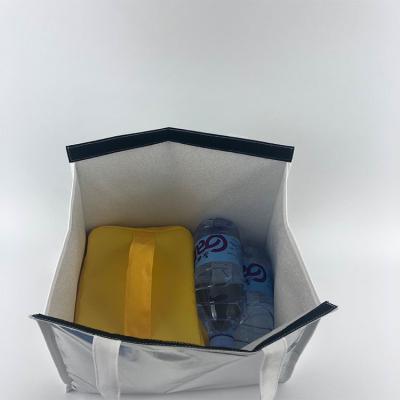 China mulitifunctional Suitcase Storage Bags Disposable Lunch insulated cooler tote for sale