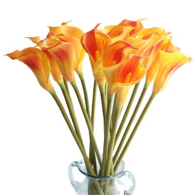 China 2021 Wholesale Real Touch Single Artificial Lily Flower Artificial Zantedeschia Australia Calla Lily Stem 2021 for sale