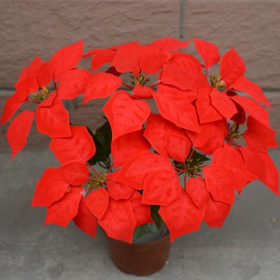 China Hot Sale Chinese Factory Amazon Silk Hot Sale Artificial Flower Christmas Festival Decoration Poinsettia for sale