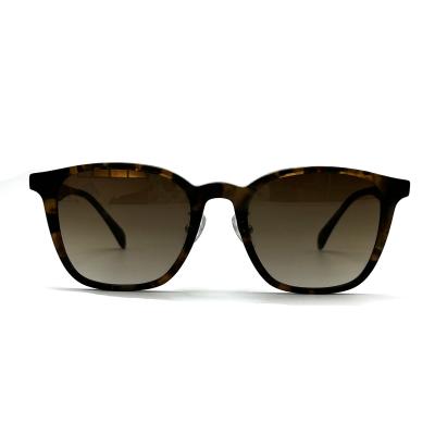 China AS106 Square CR 39 Lens Acetate Frame Sunglasses 100% UV Protection Classic Style for sale