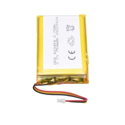 China Rechargeable toys lipo tbattery 3.7v 750mah lithium polymer battery 423450 for Smart Watch for sale