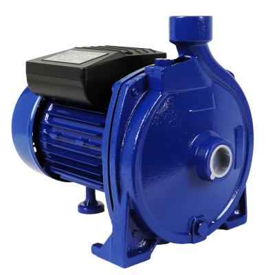 China Commercial Buildings 1hp 2hp Heavy Duty Cast Iron Copper Motor Brass Impeller Surface Centrifugal Pump Clean Water Pump For Irrigation Garden Hotel for sale