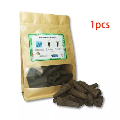 China Modern Indoor Hydroponics Growing Sponge Root System Seed Pods Germination Biodegradable Plant Gardening Sponge for sale