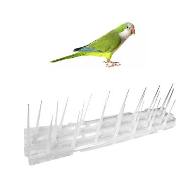 China Easy Gather 2021 Hot Selling Garden PP Balcony Bird Spikes Plastic Bird Gone To Fence Defender Spikes For Small Birds for sale