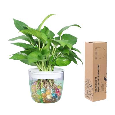 China New Design 2022 Small Orchid Flower Self Watering Plant Clear Base Plastic Hydroponic Gardening Pot Modern Pot Home Decor for sale