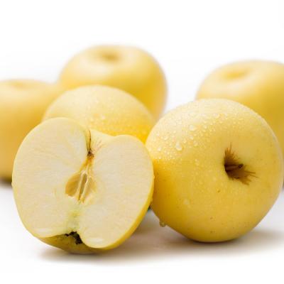 China Tasty Yellow Apple Fresh Wholesale Price For Apple Fruit Fuji Fresh Red Bulk for sale