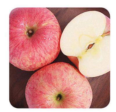 China China Supplier Wholesale Fresh Apple Crisp For Fresh Fruit Apples for sale