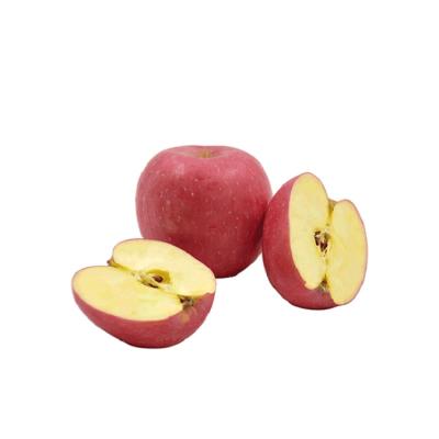 China Fuji Apples Fresh High Quality Sweet Chinese For Fresh Red Fuji Apple Fruits And Vegetables for sale