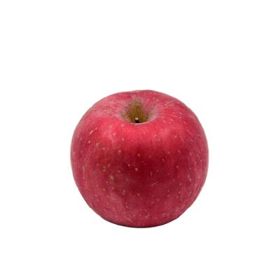 China Direct Selling Fresh Fresh Red Apple Fkavour for Fresh Fruit Apples for sale