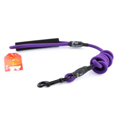 China Padded Pet Supplies Highly Reflective Nylon Strong Durable Dog Leash for sale