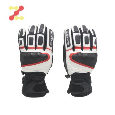 China Waterproof Zipper Racing Motorcycle Premium Leather Protective Biker Glove Outdoor Street Gloves Bulk for sale