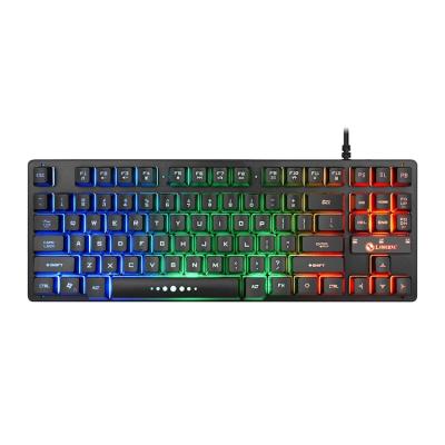 China Waterproof Mechanical Numpad Laptop Keyboard 87 Keys RGB Gaming Keyboard With Multimedia Function Keys for sale