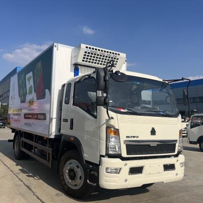 China 10 Tons Carry Capacity LHD RHD HOWO Freezer Truck With 6m Box for sale