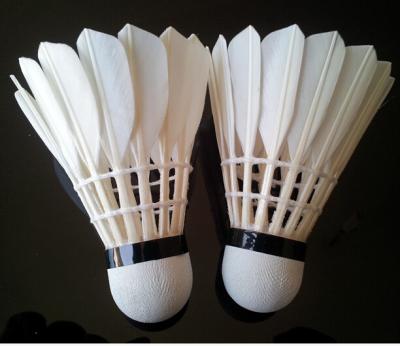 China Sale badminton shuttlecock/sandwich cork badminton shuttlecock plane/badminton racket cover for sale