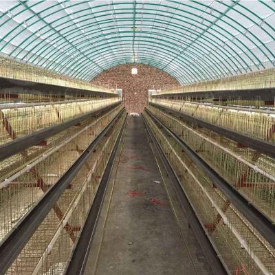 China Metal Quick Install Poly Tunnel Chicken House Steel Frame Fabric Shed For Poultry for sale