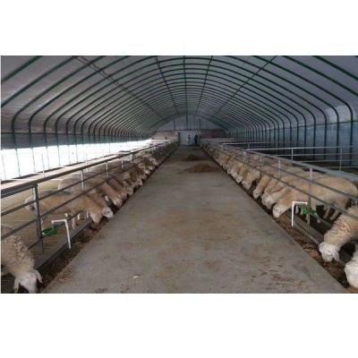 China Metal Portable Steel Shelter And Hut For Pig Port Cattle And Livestock Housing for sale