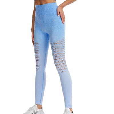 China Antibacterial Drop Shipping 2021 New Yoga Pants Gradient Cutout Tight Fit Increased Women's Sports Breathable Pants Hot Fitness Pants for sale