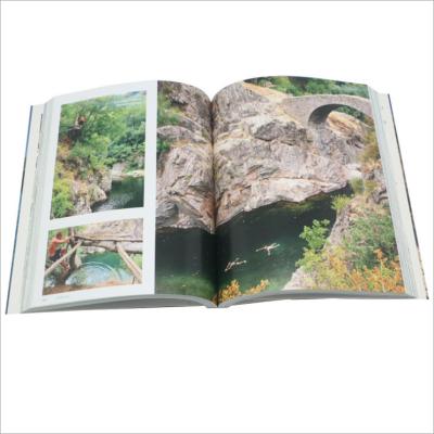 China Customer requirement customized corporate brochures, color pages, picture albums, folding children's story books for sale