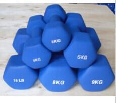 China Fixed Weight Hex Neoprene Coated Dumbbell for sale