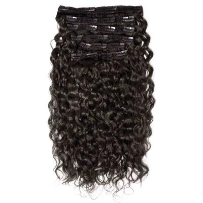 China Jerry Curl 100% Clip In Hair Extensions Brazilian Virgin Hair Water Wave Hair Clip In Extensions For White Women for sale