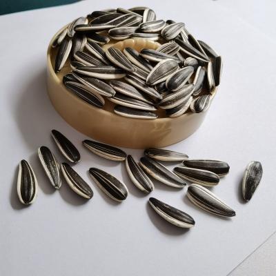 China Dry China Natural Hot Sunflower Seeds For Export Pioneer Sunflower Seeds for sale