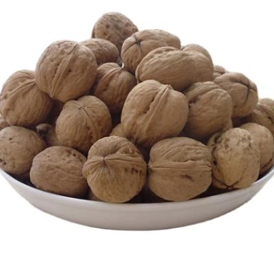 China 2021 XinJiangThin-skin 185 dry paper shell walnuts with bulk shell wholesale for sale