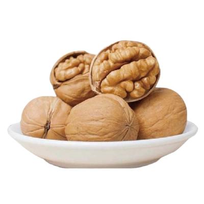 China Factory supply lowest price factory supply dry unwashed walnut inshell Xinjiang paper walnuts 185 for sale