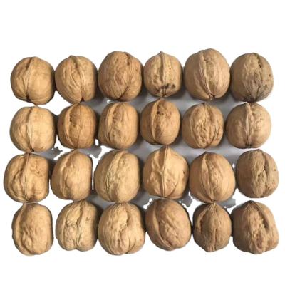 China 2021 Excellent Quality Thin-skin Dry Paper Shell Walnut With Bulk Shell Wholesale for sale