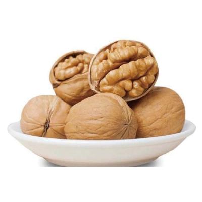 China Excellent Quality Thin-skin Dry Paper Peel Walnut With Shell Bulk Wholesale for sale