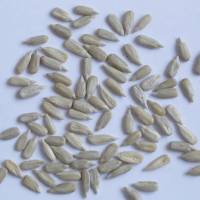 China Various dry black and white sunflower seed kernels of sunflower seeds for sale