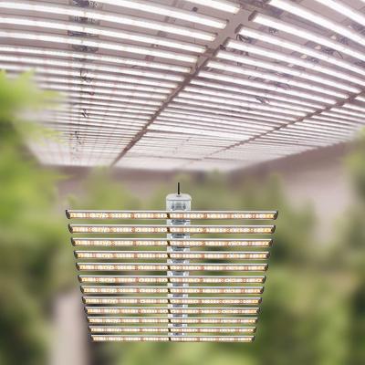 China Seed Starting Chinese Direct lm301b LED Grow Light 720W 12 Bars Hydroponics Full Spectrum Grow Lights Commercial Planting Fixture for sale