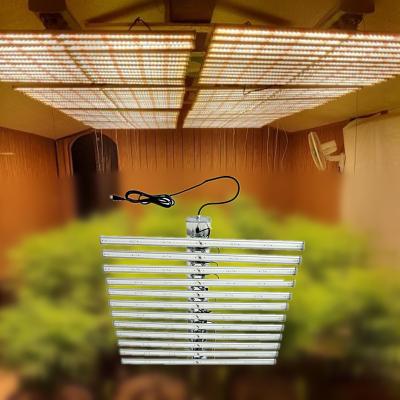 China Seed Starting USA Warehouse High Efficiency Purple Haze Weed Green Crack Grow Led Plant Lights 600w for sale