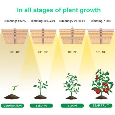 China Eco-Friendly ETL Listed Full Spectrum 12 Bars LED Grow Light With Dimming Driver Control for sale