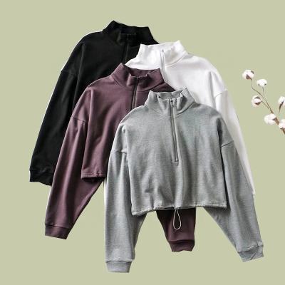 China Custom High Quality Casual Oversized Fleece Anti-Wrinkle Crop Top Women Terry Hoodie / Pullover Hoody Sweatshirt For Spring Wear for sale