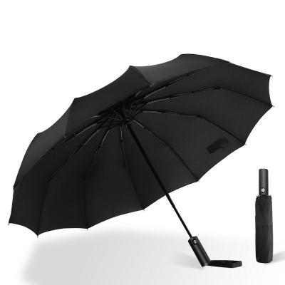 China 12 Times Windproof Modern Umbrella Umbrella Auto Open Large Narrow Ribs 3 Large Rain Umbrella for sale