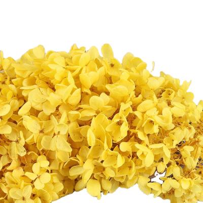 China Living Room Immortal Handmade Activities Kindergarten Decoration DIY Anna Flower Hydrangea Real Flower Ins Natural Air Dried Material Package for sale