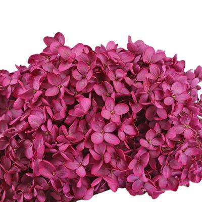 China Anna Hydrangea Preserved Flower Colored Gift Box Preserved Flowers Dried Flowers Preserved Flowers for sale