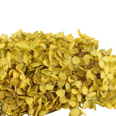 China New Anna Valentine's Day Packing Preserved Flower Small Leaf Hydrangea Immortal Flower High Quality DIY Flower Material Factory Direct for sale