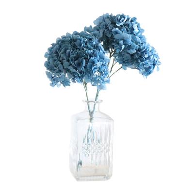 China Home decoration floristic decoration material everlasting flower popular wedding preserved plants everlasting hydrangea gradient for sale