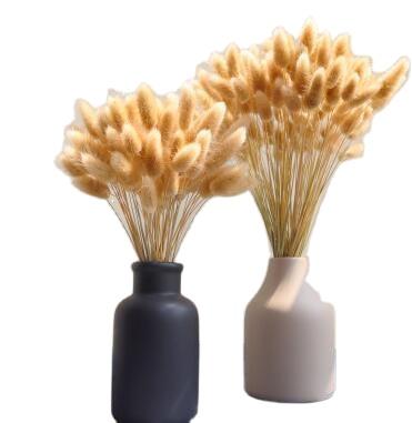 China Gifts Wholesale Bunnytails Lagurus Colorful Dried Flowers Grass Decoration For Wedding Home Decoration for sale