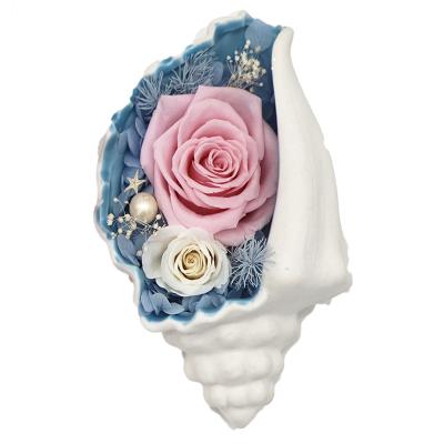 China Home decoration fine quality popular product preserved blue flowers conch valentine's day gift for sale