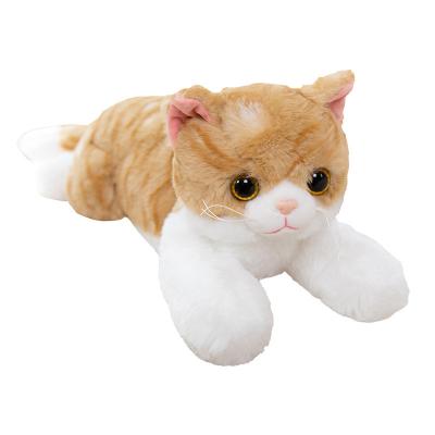 China No Kitty doll simulation White doll Ragdoll child comfort pet pillow plush toy for sale