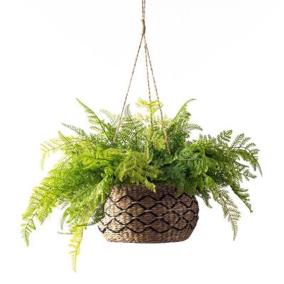 China China Green Lace Fern Faux Houseplant in Plant Plankton Woven Hanging Basket Pot Folk Art for sale