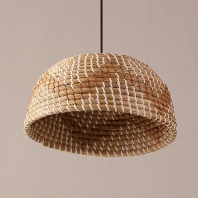 China Europe Plant Plankton Shade Rattan Pendant Light Handcrafted Light Gift For Mom for sale