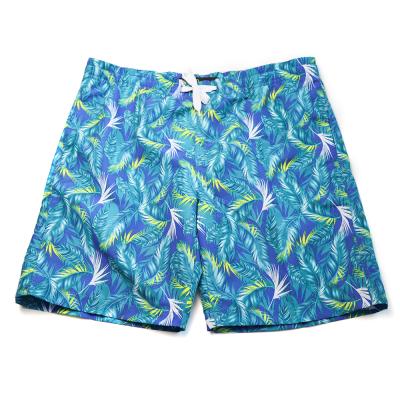 China custom mens 3d anti wrinkle shorts in digital print design kids boy beach shorts quick dry anti wrinkle 3d printed for sale