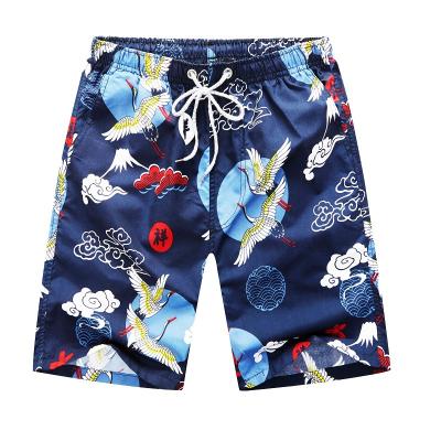 China Wholesale 3d Shorts Men's Breathable Quick Dry Anti-Wrinkle Custom Boy Girl Blue Crane Kids Beach Beach Shorts 3d Printed for sale