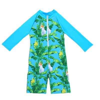 China 2020 Men's Swimwear Children's Baby Swimwear Long Sleeve Wetsuit One-Piece Breathable Sunscreen Swimsuit Clothes for sale