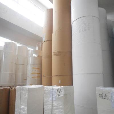 China Disposable Paper cups Roll Paper Cup Raw Material with PE Coated for sale