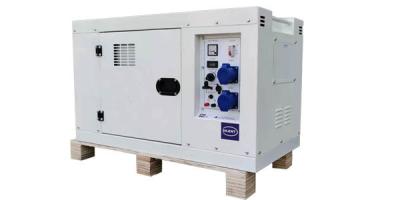 China 6kw aardgasgenerator met 4 cilinders watergekoelde draagbare Genset met standaard Te koop