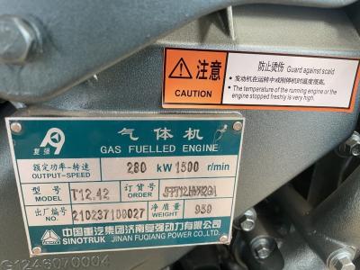 Chine Générateur de gaz naturel certifié Jinan Fuqiang 200kw Sinotruk avec service après-vente à vendre